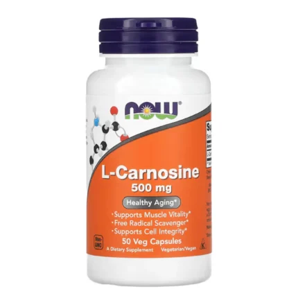 l carnosine 500mg Now 1x