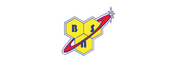 BSN logo